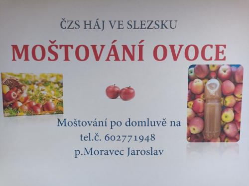 Leták