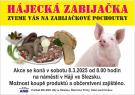 pozvánka