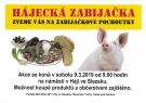 HÁJECKÁ ZABIJAČKA V SOBOTU 9.3.2019 OD 9:00 NA NÁMĚSTÍ V HÁJI 1